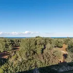 Aura D'olivo By Perle Di Puglia * Serranova