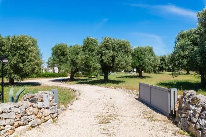 Aura D'olivo By Perle Di Puglia